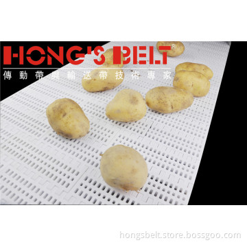 The Vegetable Industry Modular Conveyor Belt (HS-100B)